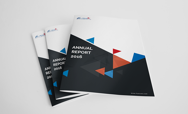 picture of 3 printed annual report