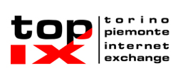 logo TOP-IX