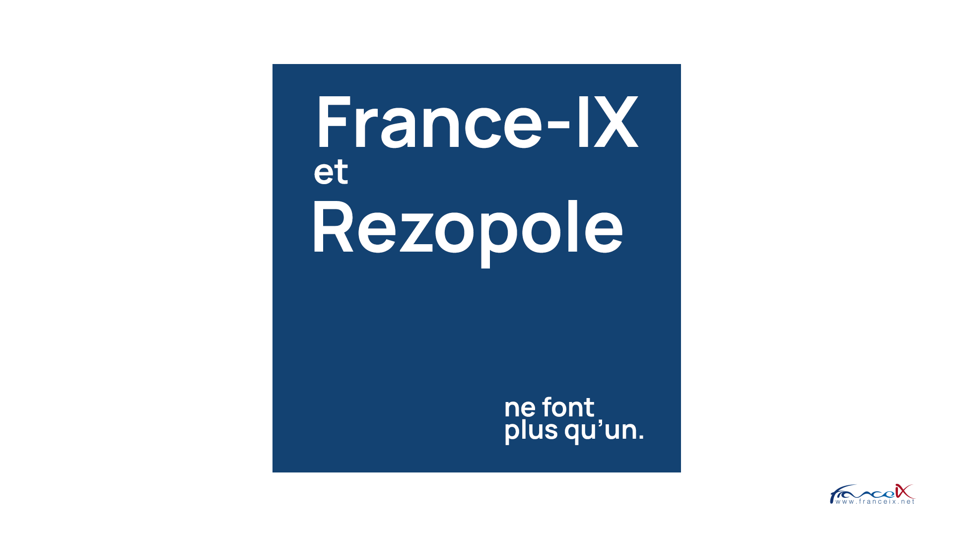 France-IX fusionne avec Rezopole