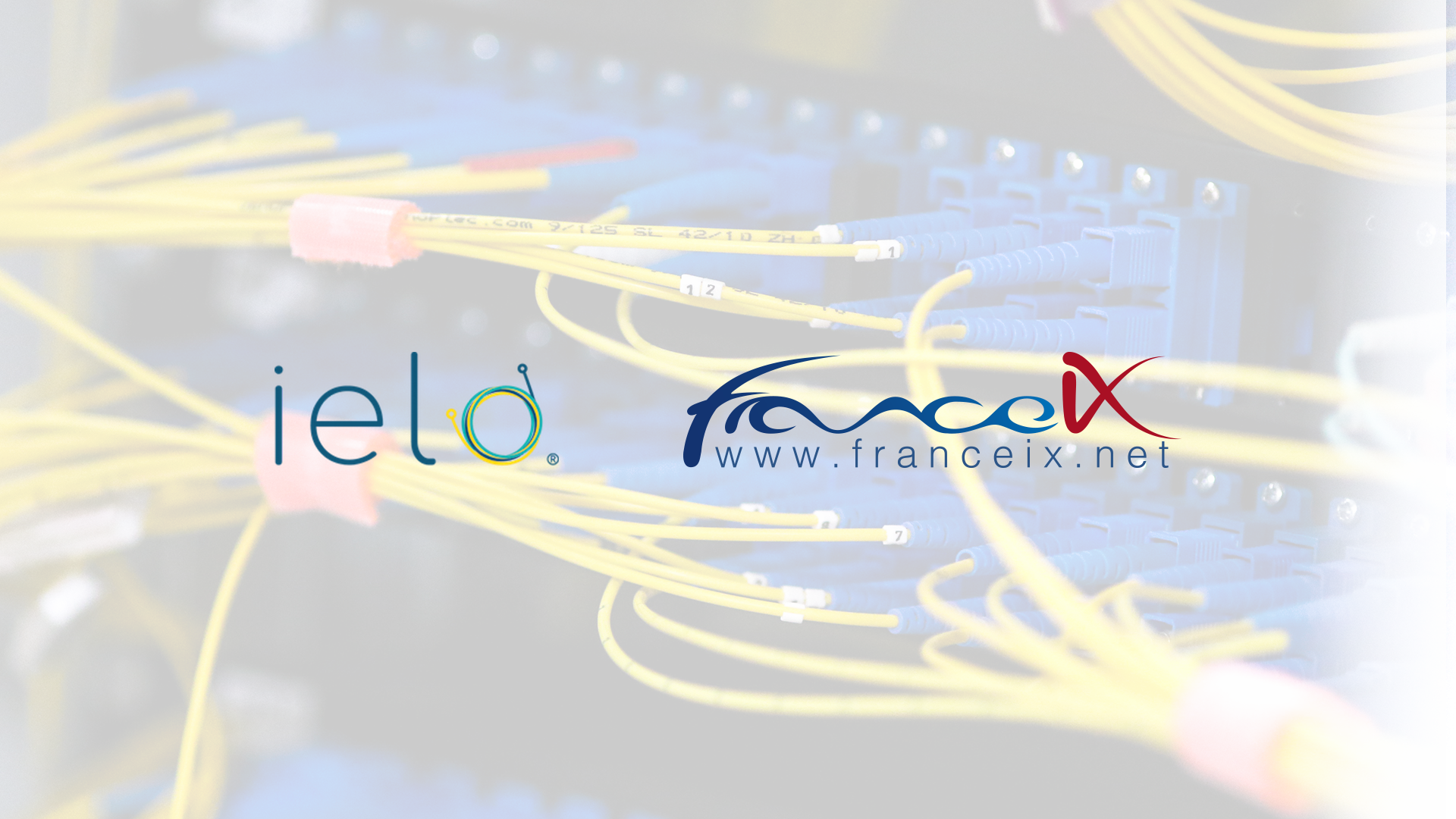 
France-IX fait appel à IELO pour le renouvellement partiel de son réseau fibre optique support de sa plateforme d’échange 
